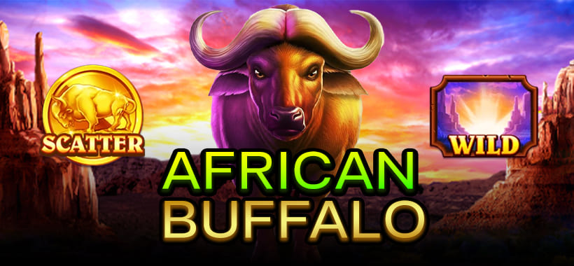 affrican buffalo