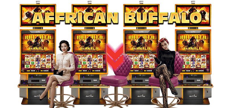 african buffalo slot
